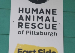 May 30, 2025: Animal Rescue Tour
