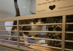May 30, 2025: Animal Rescue Tour