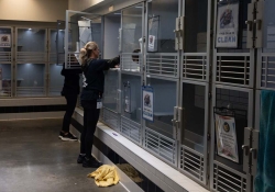 May 30, 2025: Animal Rescue Tour