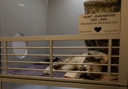 May 30, 2025: Animal Rescue Tour