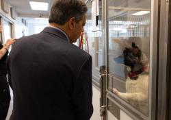 May 30, 2025: Animal Rescue Tour