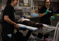May 30, 2025: Animal Rescue Tour