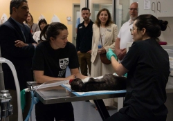 May 30, 2025: Animal Rescue Tour