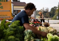 October 12, 2022: Senator Jay Costa Visits the Carrick Farmers Market