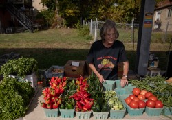 October 12, 2022: Senator Jay Costa Visits the Carrick Farmers Market
