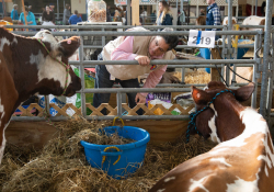 January 8, 2020: Senator Costa attends the 104th Pennsylvania Farm Show.