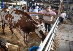 January 8, 2020: Senator Costa attends the 104th Pennsylvania Farm Show.