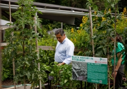 August 10, 2022: Senator Jay Costa visits the Frick Environmental Center Nature Camp.