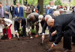May 7, 2019:  Senator Costa joins his fellow Legislative Hunger Caucus members at an event  to mark the opening of the 10th season of the Capitol Hunger Garden.