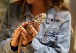 October 19, 2018: Senator Jay Costa visits  Sara's Pets and Plants as part of his "In the 43rd" tour.