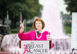 Breast Cancer Awareness Month :: October 2, 2018