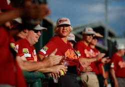 Legislative Softball game