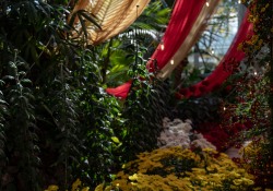 October 11, 2022: Senator Jay Costa visits the Phipps Conservatory.