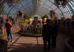 October 11, 2022: Senator Jay Costa visits the Phipps Conservatory.