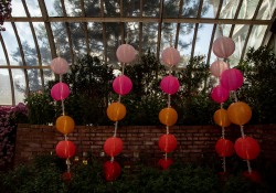 October 11, 2022: Senator Jay Costa visits the Phipps Conservatory.