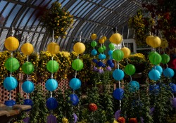 October 11, 2022: Senator Jay Costa visits the Phipps Conservatory.