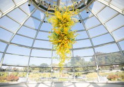 October 11, 2022: Senator Jay Costa visits the Phipps Conservatory.