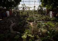 October 11, 2022: Senator Jay Costa visits the Phipps Conservatory.