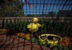 October 11, 2022: Senator Jay Costa visits the Phipps Conservatory.