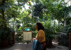 October 11, 2022: Senator Jay Costa visits the Phipps Conservatory.