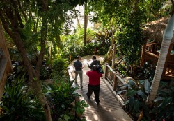 October 11, 2022: Senator Jay Costa visits the Phipps Conservatory.