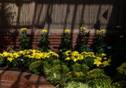 October 11, 2022: Senator Jay Costa visits the Phipps Conservatory.