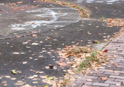 November 1, 2022: Senator Jay Costa joins DCNR Secretary Cindy Adams Dunn to visit Wilkinsburg to announce $110,000 in new grant funding to help rehabilitate Rosa Parks Park in the Allegheny County borough.