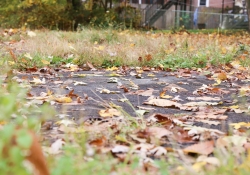 November 1, 2022: Senator Jay Costa joins DCNR Secretary Cindy Adams Dunn to visit Wilkinsburg to announce $110,000 in new grant funding to help rehabilitate Rosa Parks Park in the Allegheny County borough.