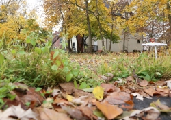 November 1, 2022: Senator Jay Costa joins DCNR Secretary Cindy Adams Dunn to visit Wilkinsburg to announce $110,000 in new grant funding to help rehabilitate Rosa Parks Park in the Allegheny County borough.