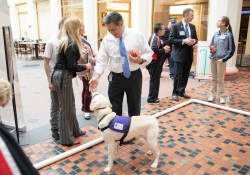 April 29, 2019: Senator Costa Participates in the Annual Special Olympics PA Unified Government Bocce Challenge.