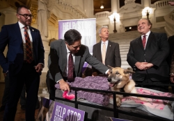 Victoria’s Law Puppy Mills