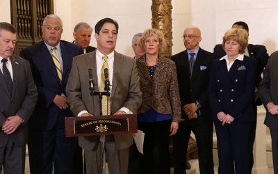 Senate Democrats Call for Special Session on Property Tax Relief or Elimination