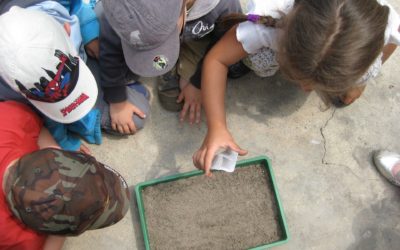 Costa: Becas de educación medioambiental para estudiantes