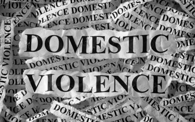 Sen. Costa Remarks on Senate Domestic Violence Package
