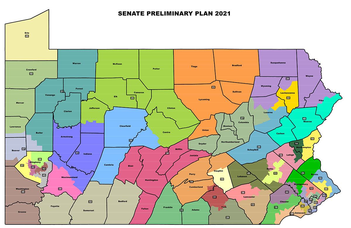 Senate Preliminary Plan 2021